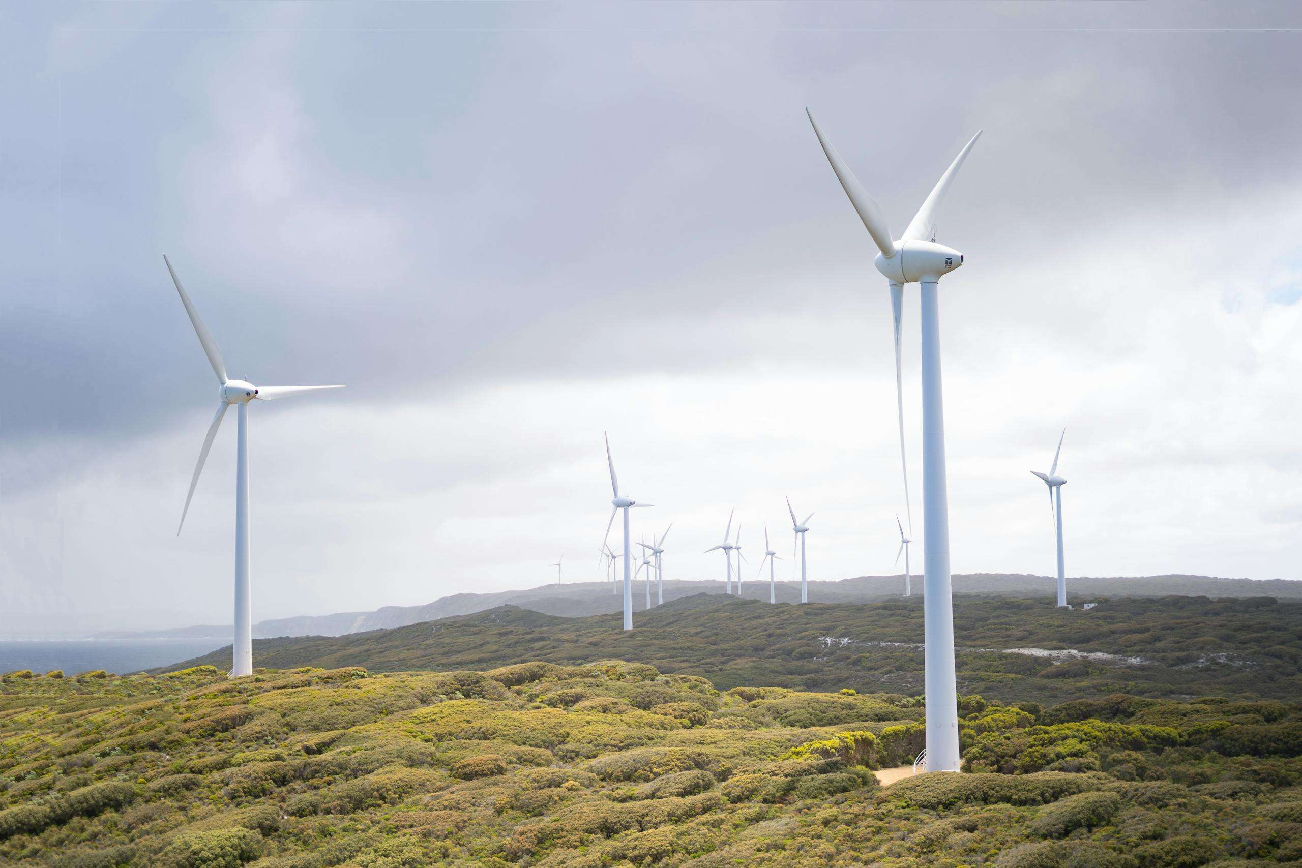 Green Technology: Opportunities for a More Sustainable Future!