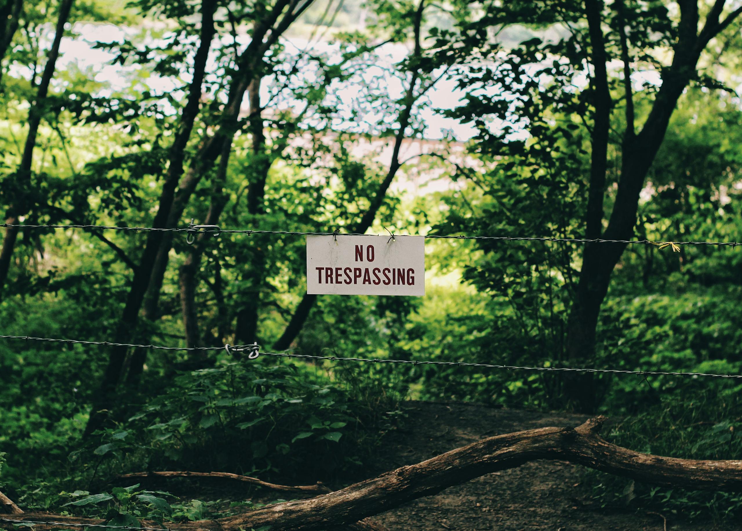 5 Ways to Use the Hidden Law of Attraction in Your Daily Life