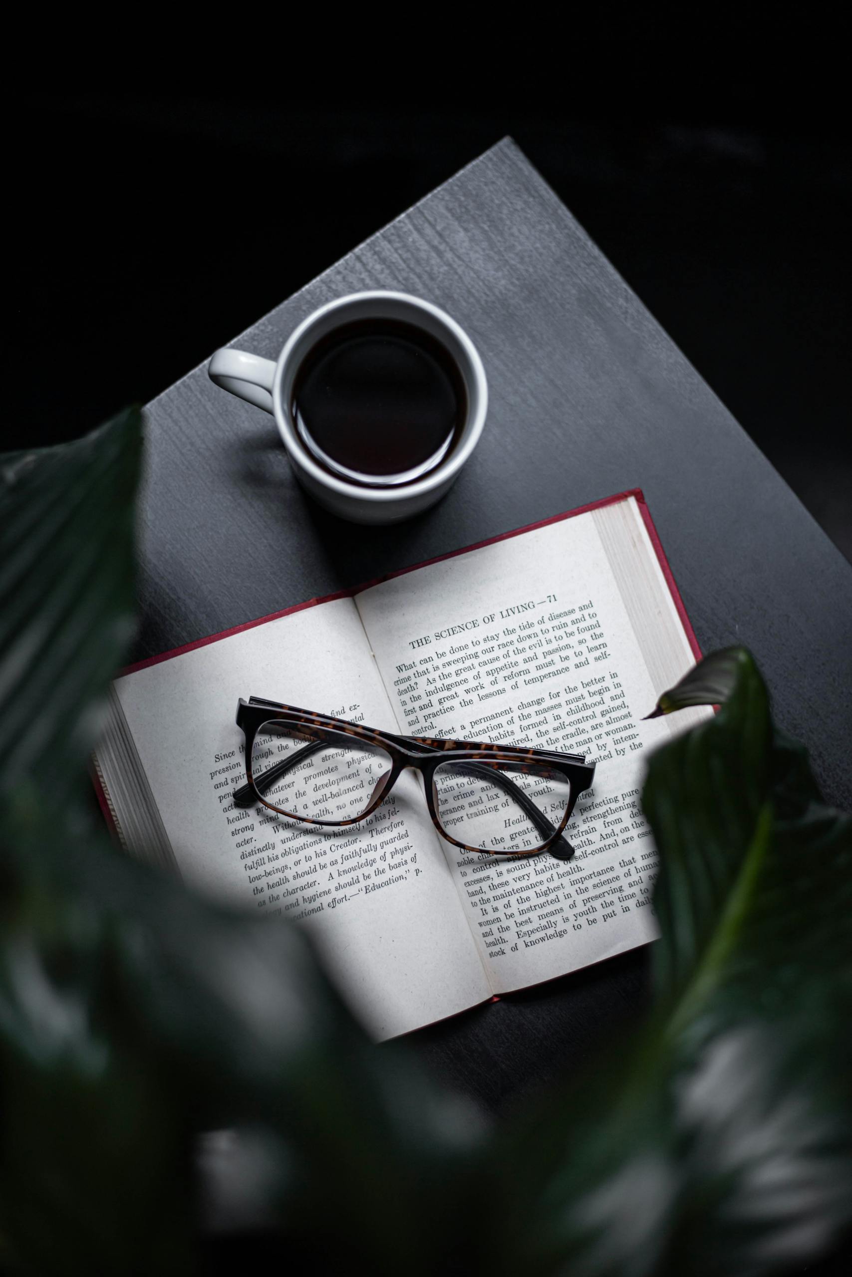 Invaluable Academic Studies: What Should You Read to Become an Expert?