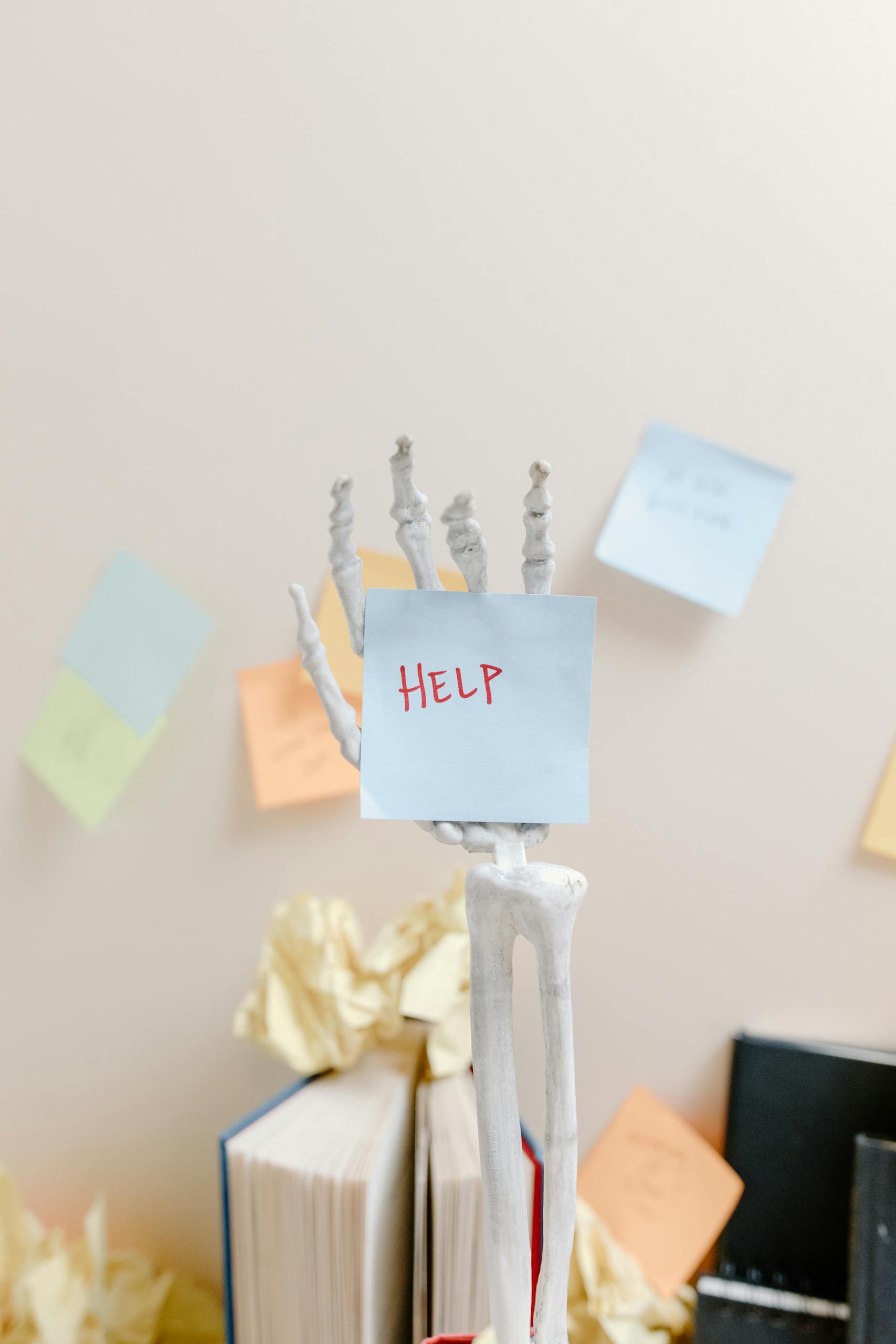 How Can Behavioral Studies Help You Make Better Decisions?