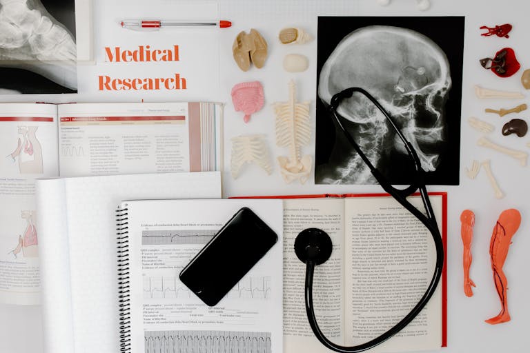 Amazing Studies About the Human Brain: What Have Scientists Discovered?