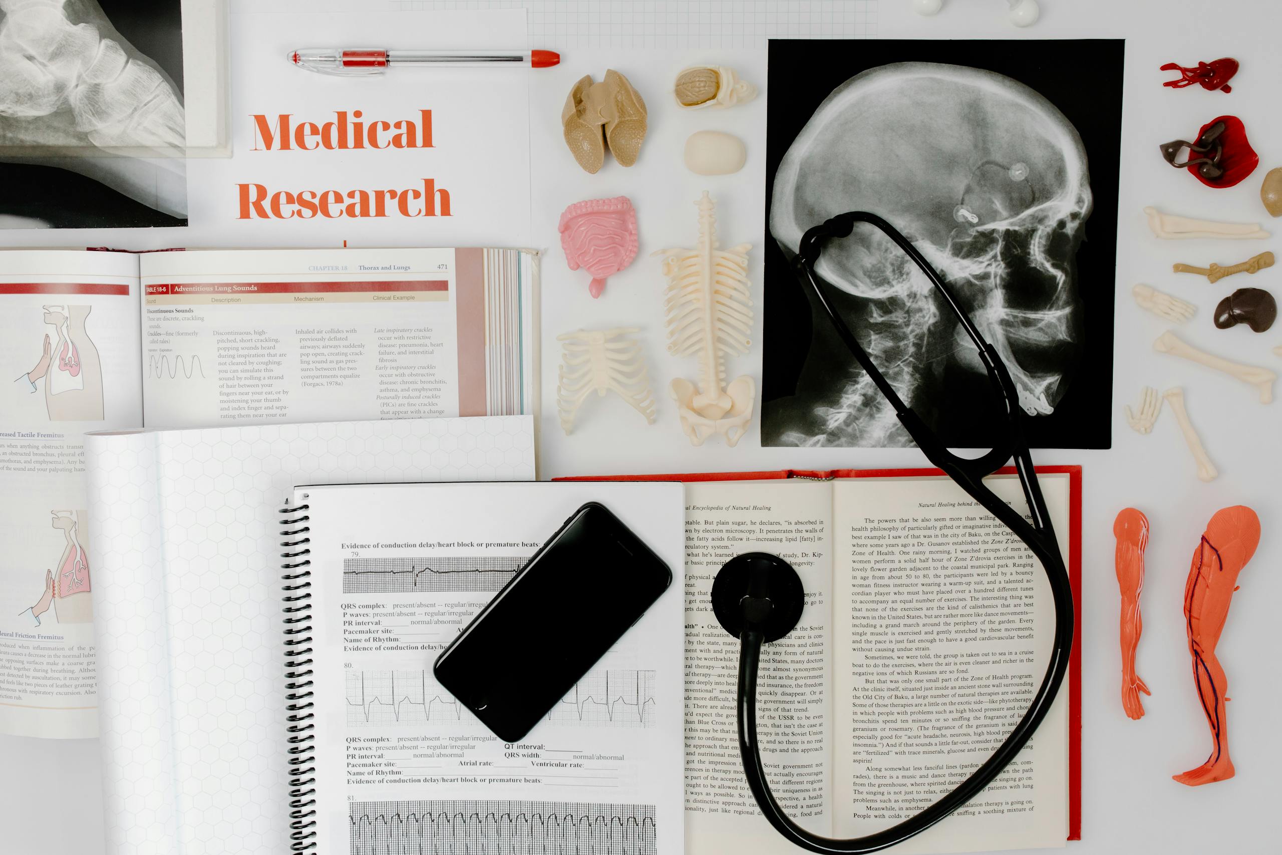 Amazing Studies About the Human Brain: What Have Scientists Discovered?