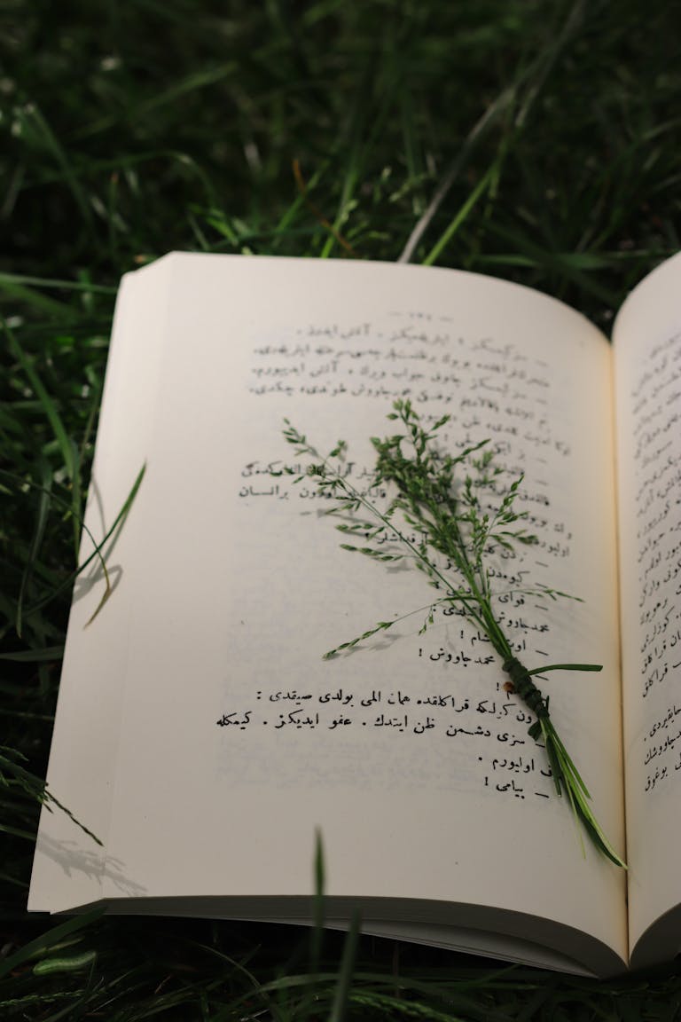 Top 10 powerful Resources to Improve Your Arabic Reading and Writing Skills