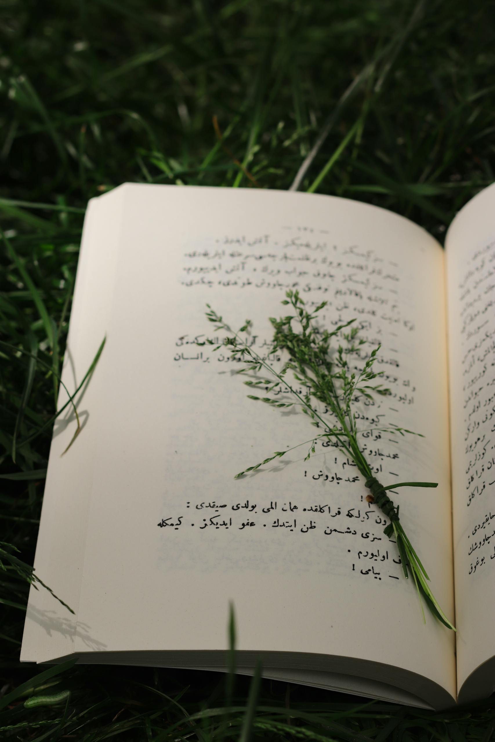Top 10 powerful Resources to Improve Your Arabic Reading and Writing Skills