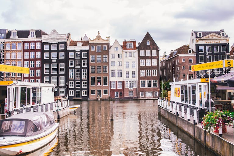 5 Proven Reasons Why Dutch Is Your Key to Success in the Netherlands